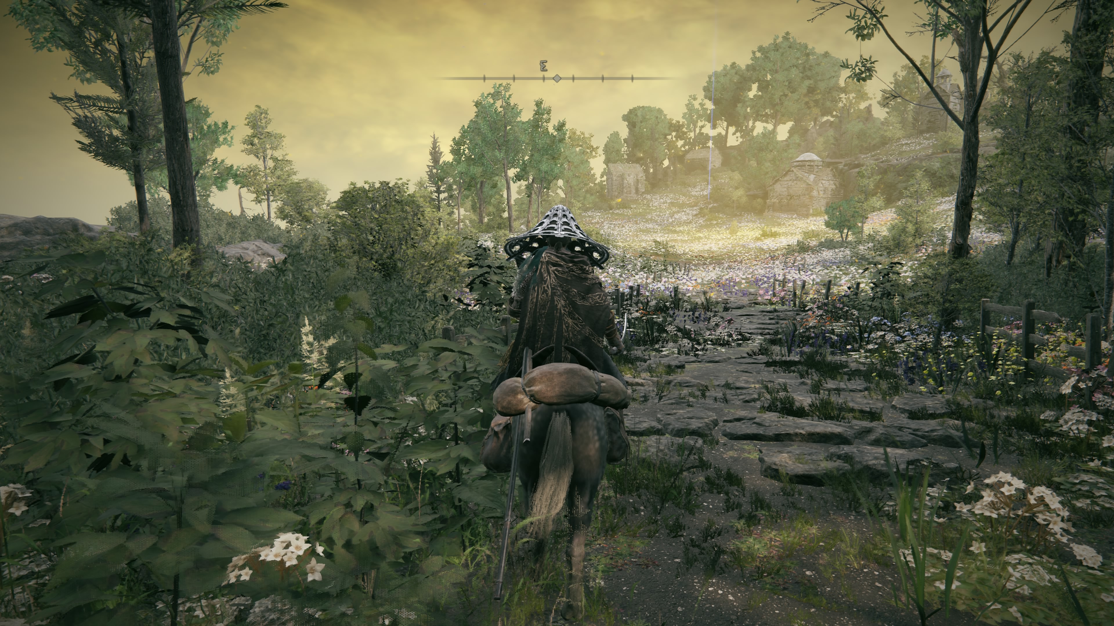 Exploring the Lands Between on Torrent.